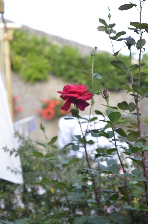 Le Clos Des Pommes Bioncourt Esterno foto
