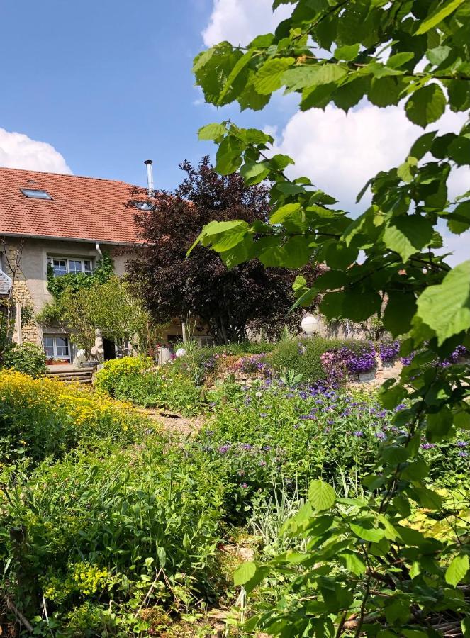 Le Clos Des Pommes Bioncourt Esterno foto